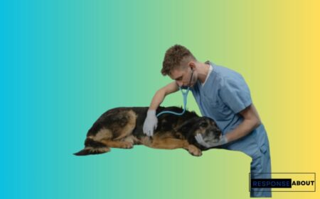 32 Heartwarming Veterinarian Thank You Note Example Messages