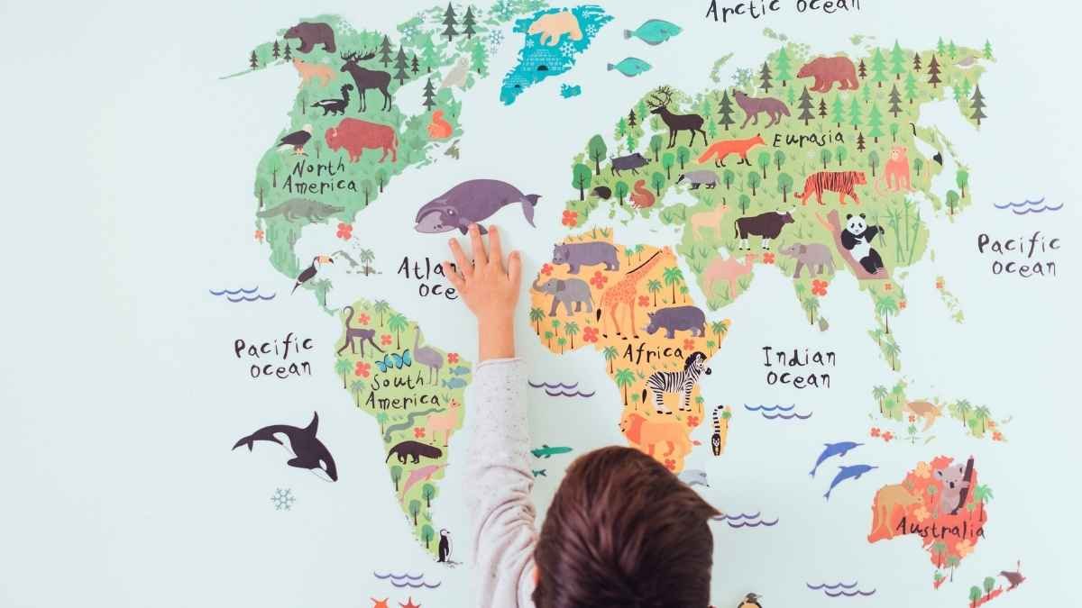 A Final Look at the Search for Love in a Global World