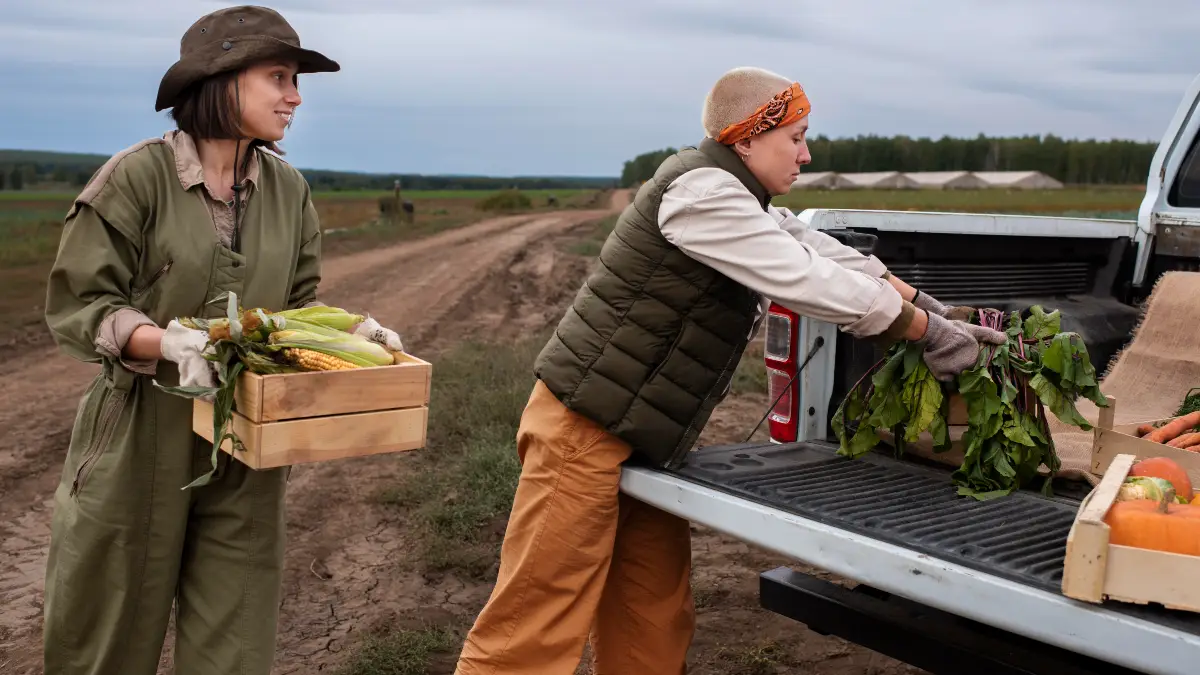Food Procurement & Foraging: Sustenance in the Wild