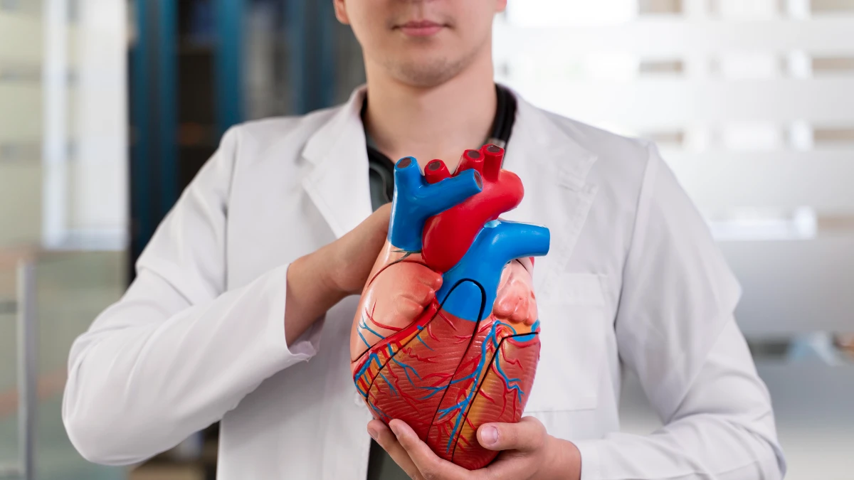 It Hardens Your Arteries and Strains Your Heart