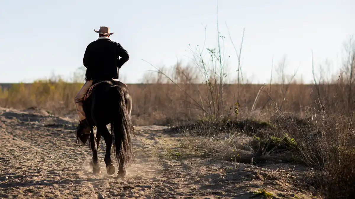 Landscapes of Conflict - Two Case Studies