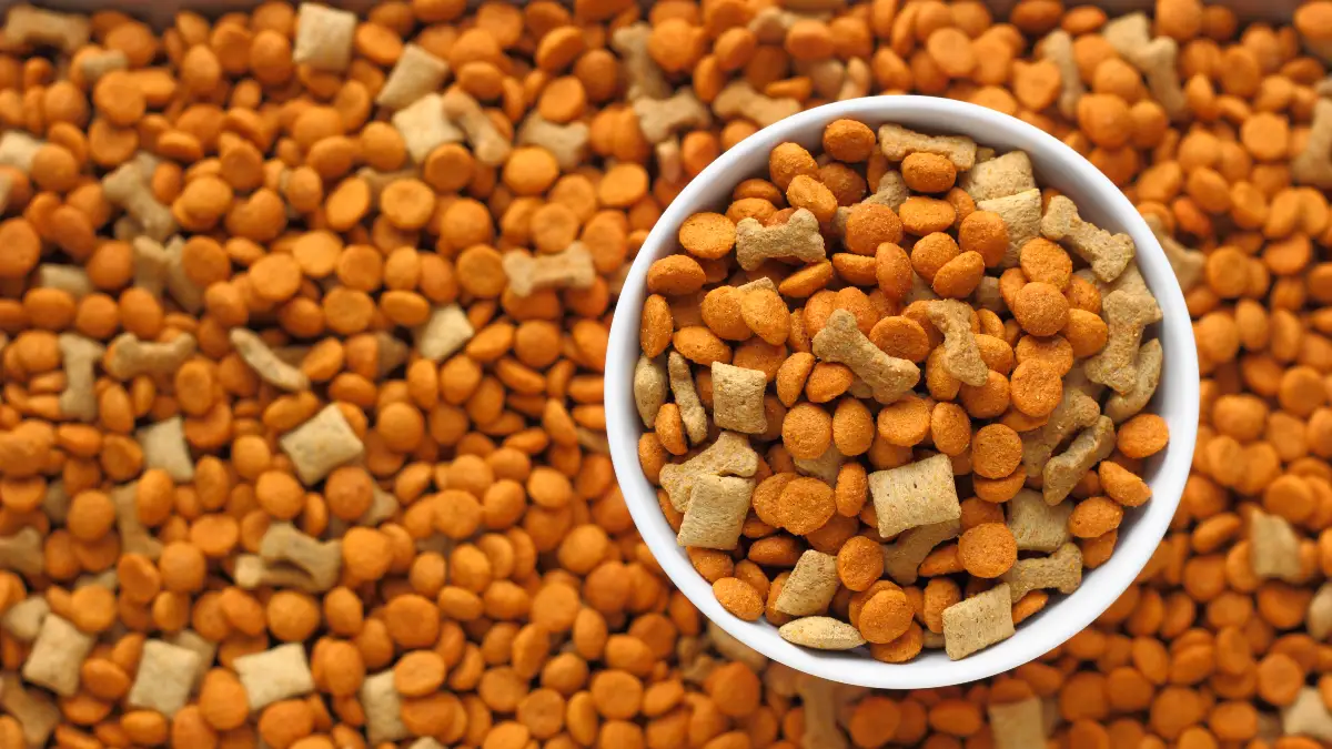 Pet Food