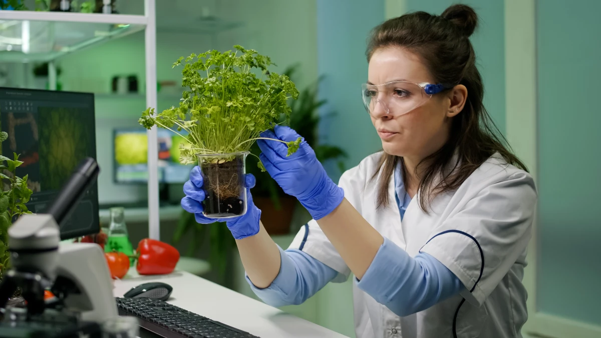 Plant Medicine That European Doctors Actually Prescribe