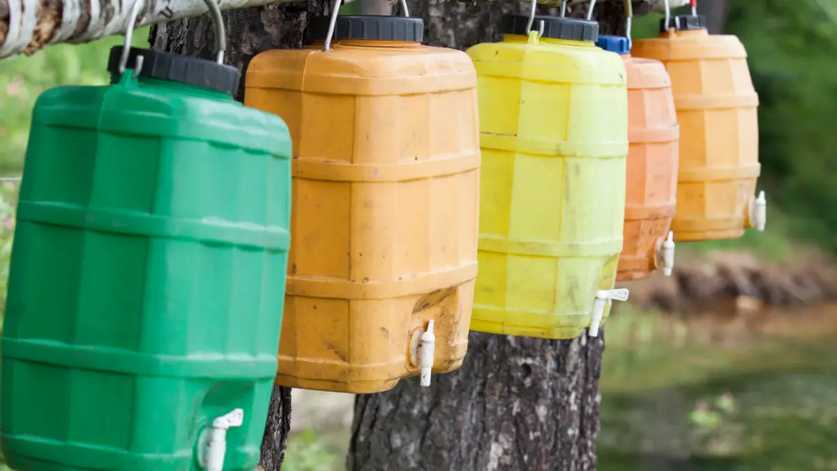 Rainwater Collection Systems