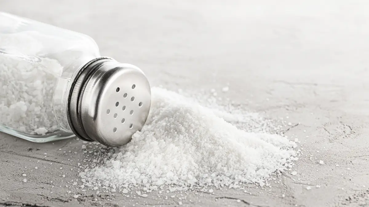 Salt