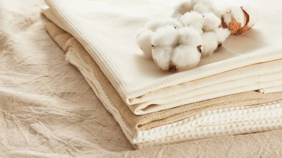 The Exception That Proves the Rule: When Is Cotton Acceptable?