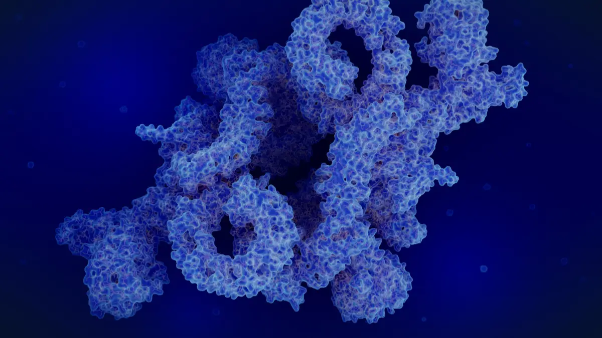 The Science of Self-Renewal: A Deep Dive into Autophagy