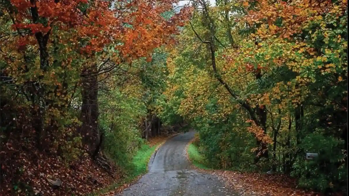 West Virginia