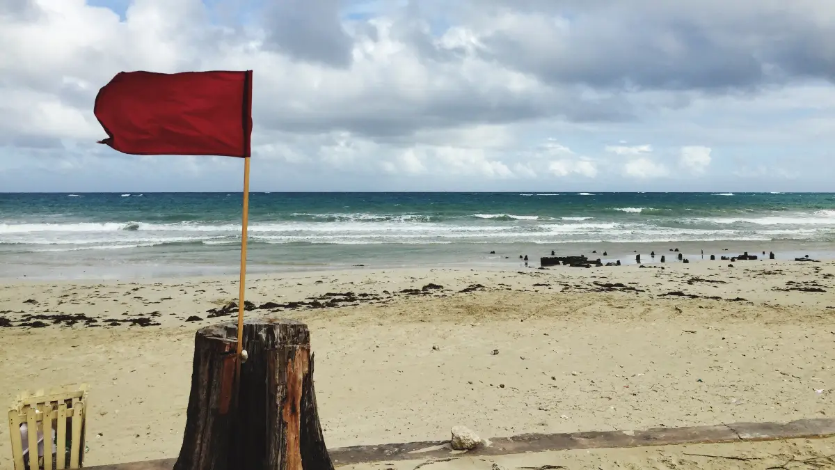 When 241 days becomes $4.4 million: The real price of missed red flags
