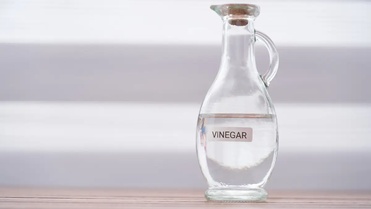 White vinegar (distilled)