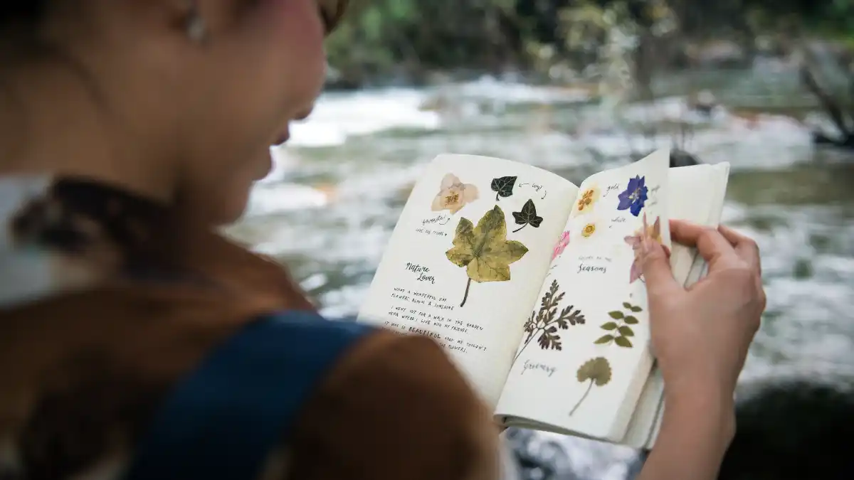 Wilderness Awareness: Reading Nature’s Signs