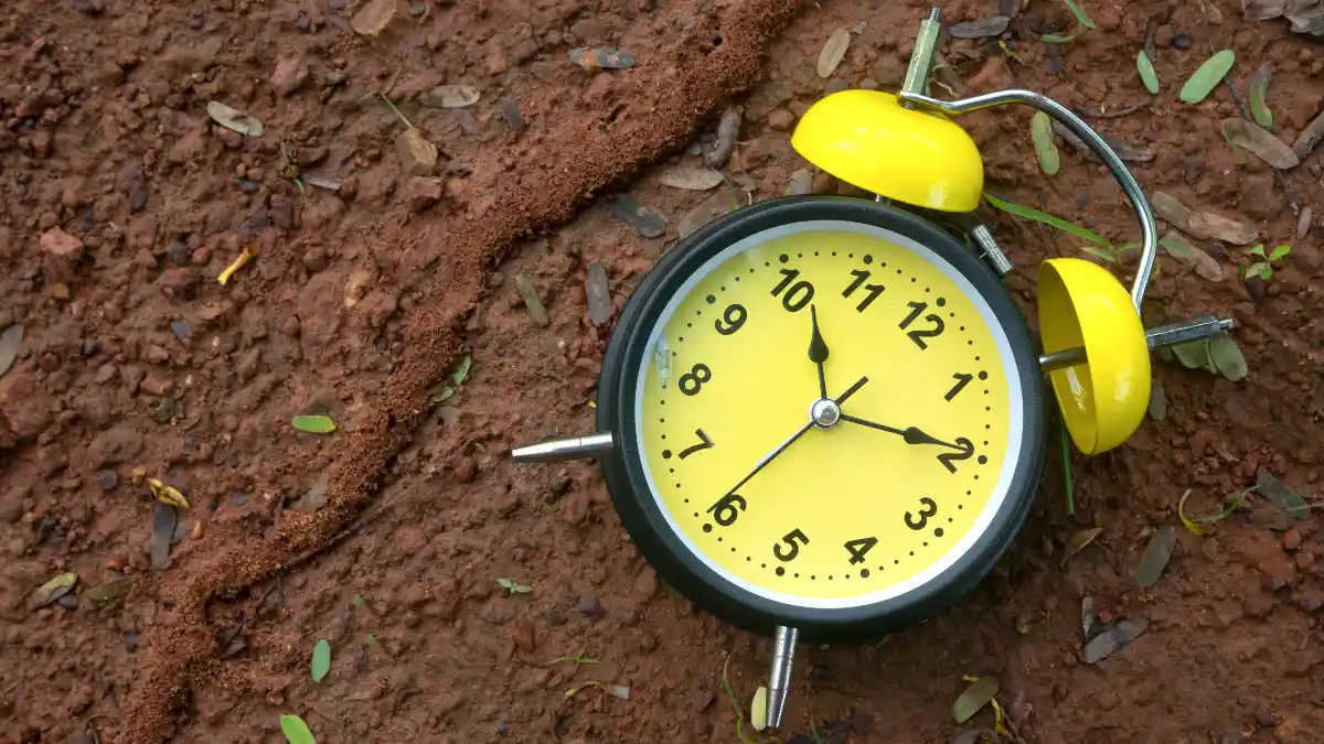 Your Hour-by-Hour Action Timeline