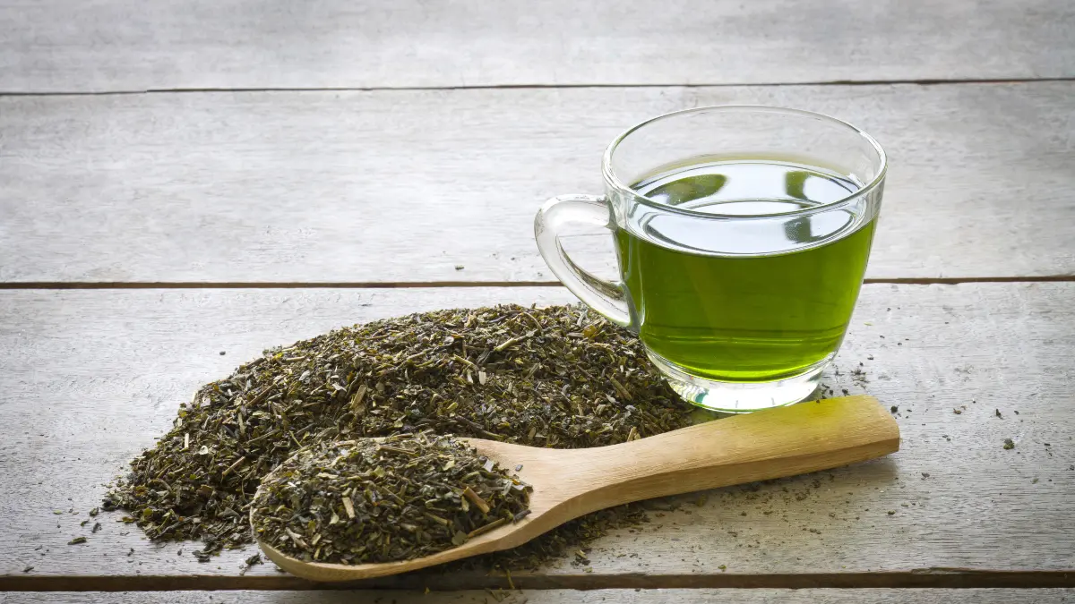 Green Tea Extract