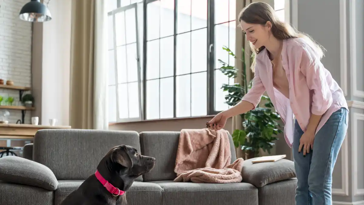 18 Pet-Friendly Decor Ideas That Are Actually Stylish