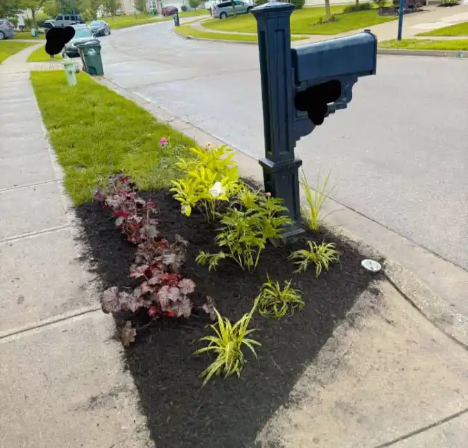 High-Contrast Foliage Island