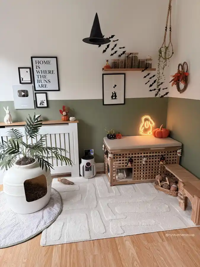 Multipurpose Pet Furniture Hideaway