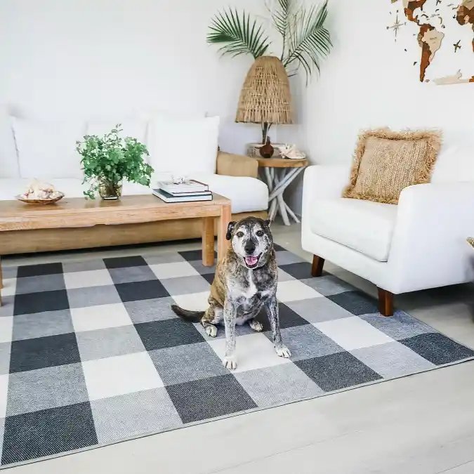 Stylish and Durable Statement Rugs