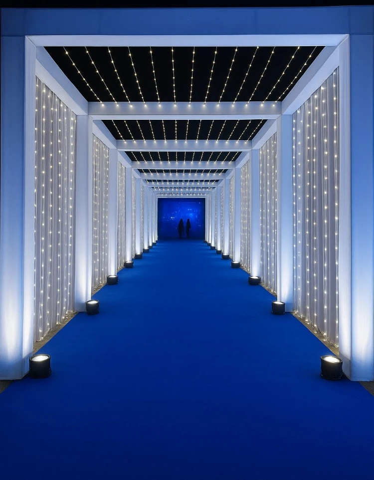 Electric Blue & Starlight Entrance Runway