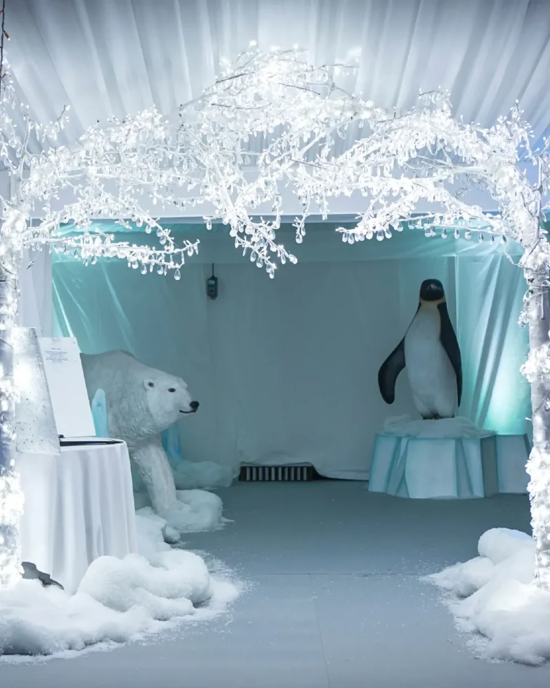 Frosted Crystal and Wildlife Grotto Entrance