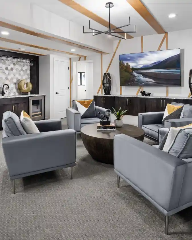 Sophisticated Entertainment Hub