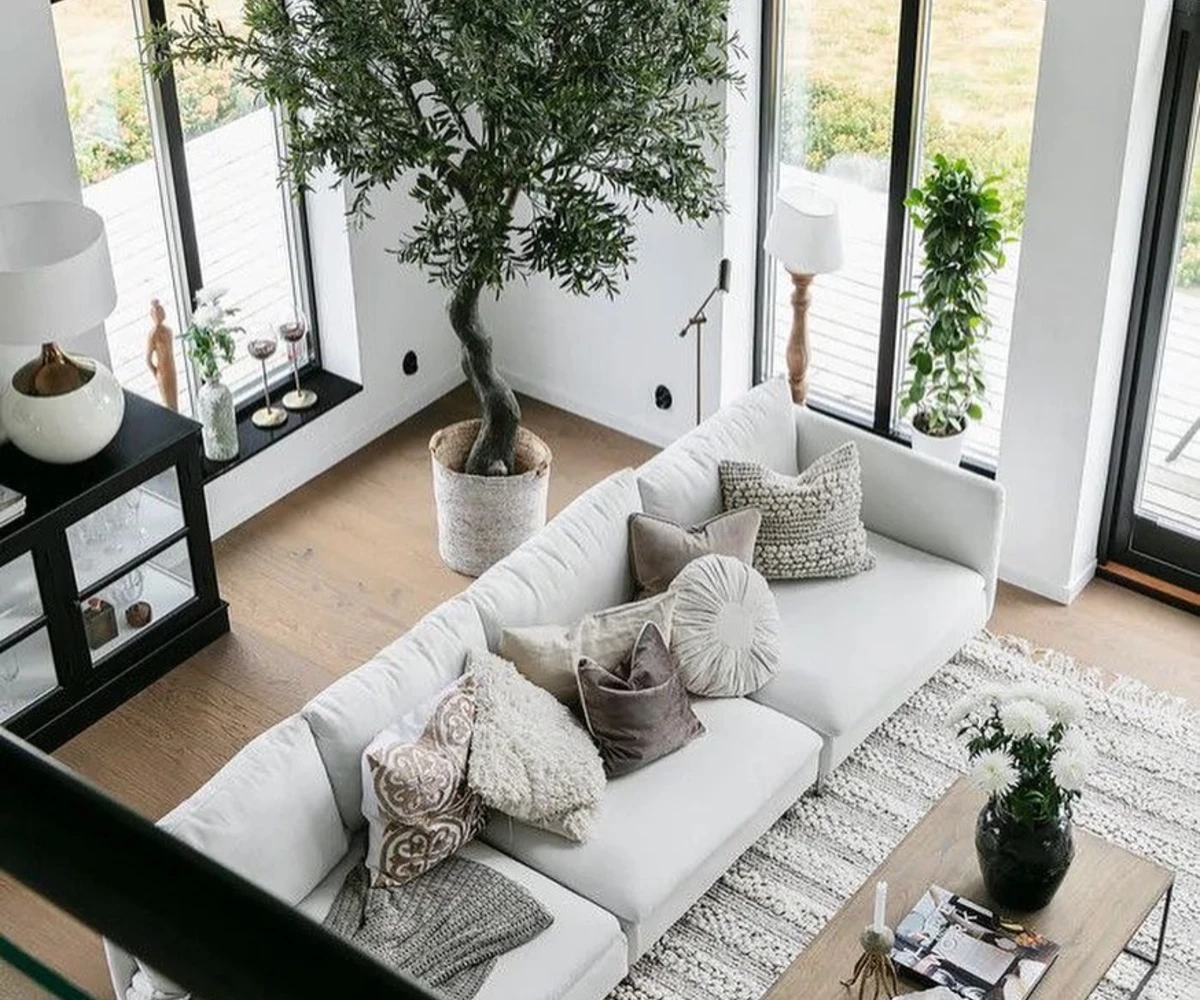  Aerial View Living Space