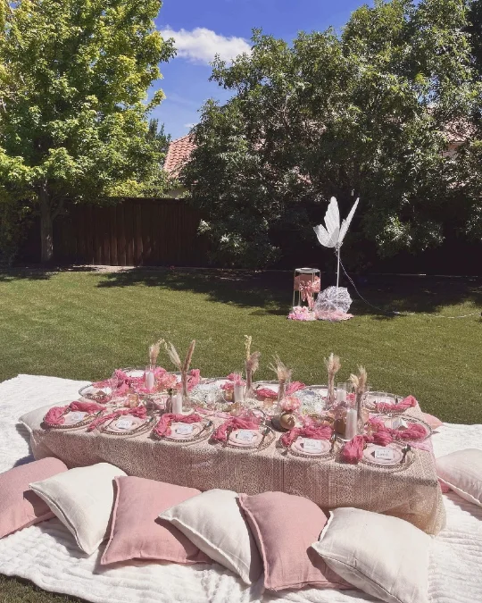 Pink Butterfly Backyard Picnic