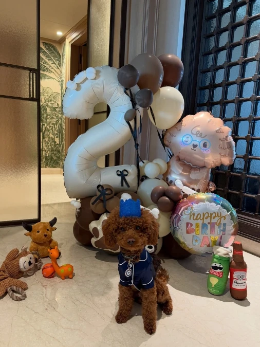 Two-Year Poodle Party