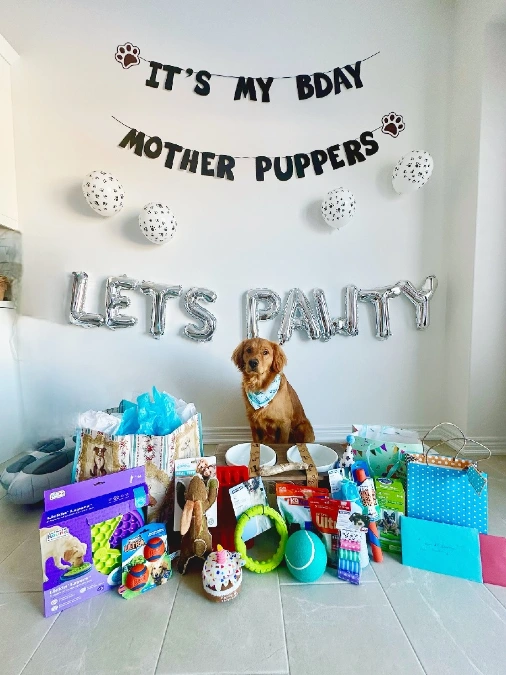 Mother Puppers Gift Station