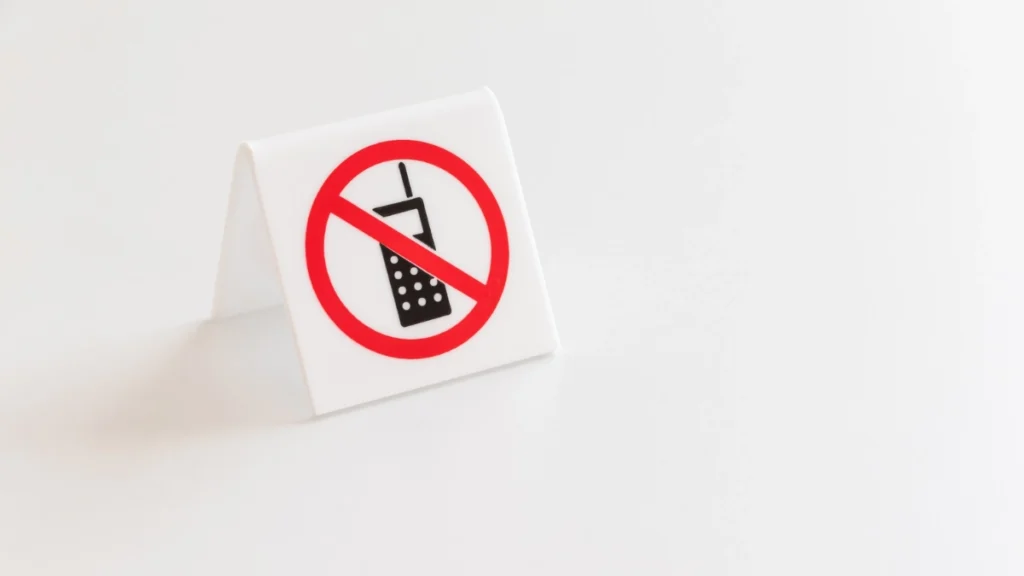 You Do Not Need a Smartphone to Enjoy the Cruise