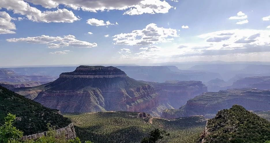 Kaibab National Forest (Grand Canyon North Rim)