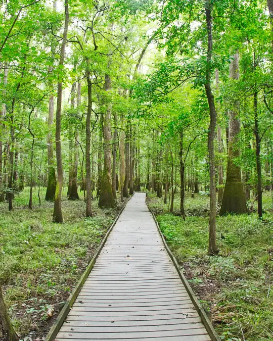 Congaree National Park Backcountry