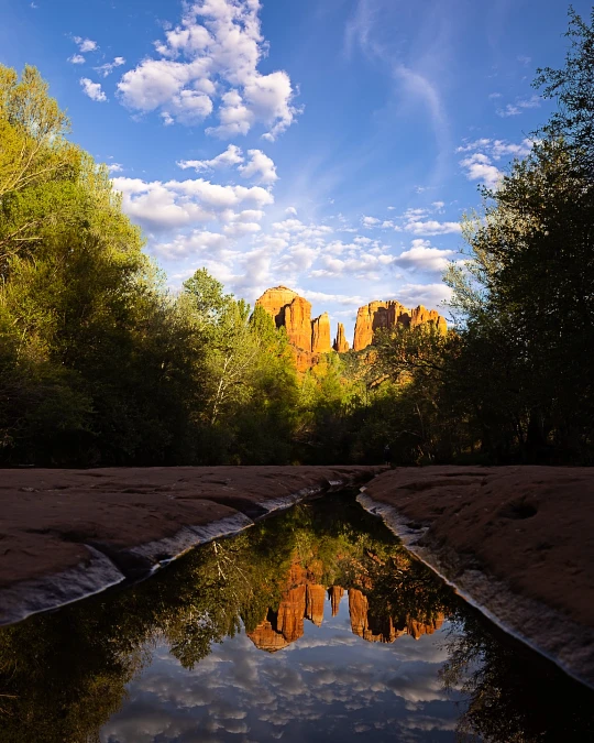 Coconino National Forest (Grand Canyon South Rim)
