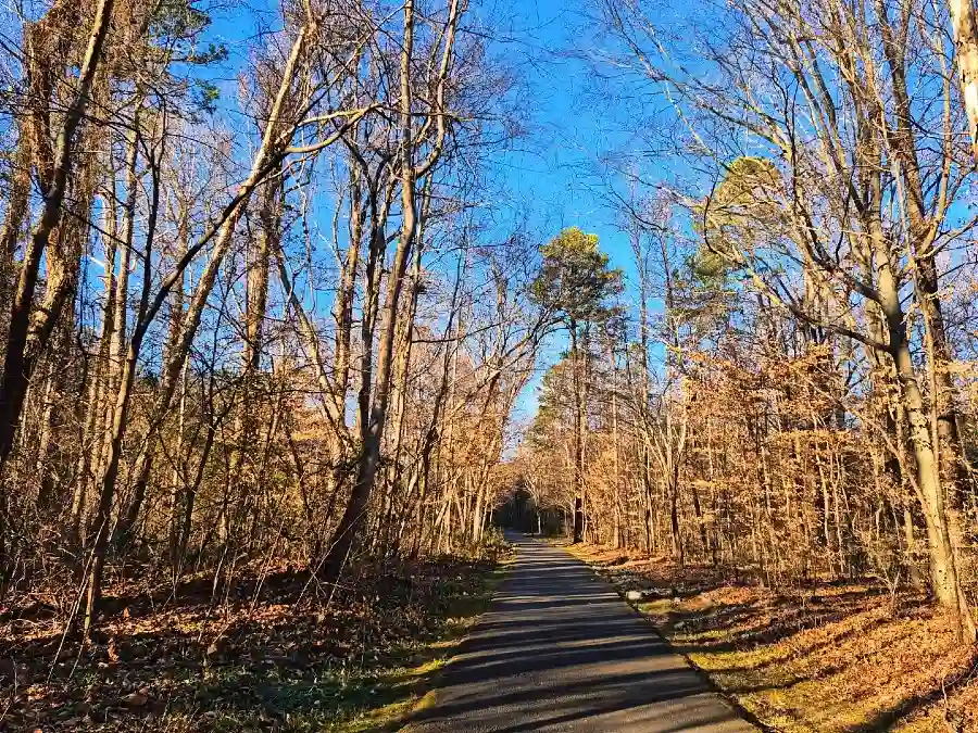 Campbell Tree Grove (Olympic)