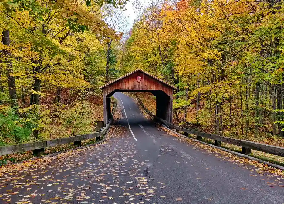 M 22 Scenic Drive: Michigan's Hidden Gem Road Trip