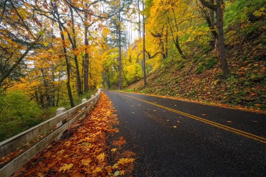 Columbia River Highway: Oregon's Affordable Waterfall Route