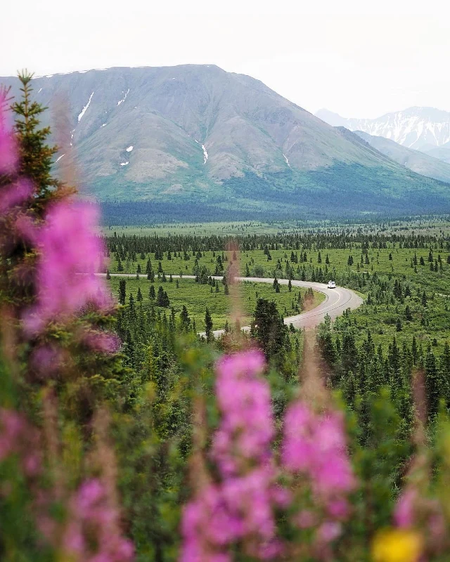 Kenai Peninsula: Alaska's Best Budget Road Trip USA