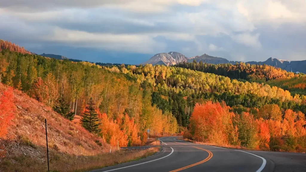  Natchez Trace Parkway: MS to TN Hidden Gem Road Trips