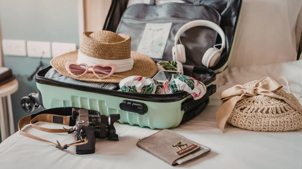 Travel Accessories and Electronics