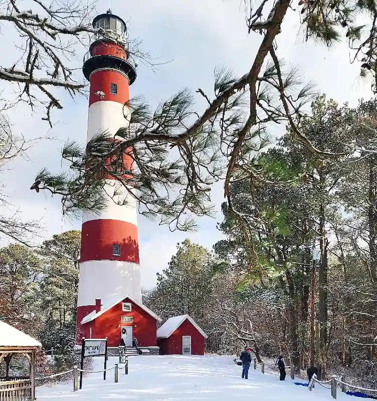 Chincoteague, Virginia