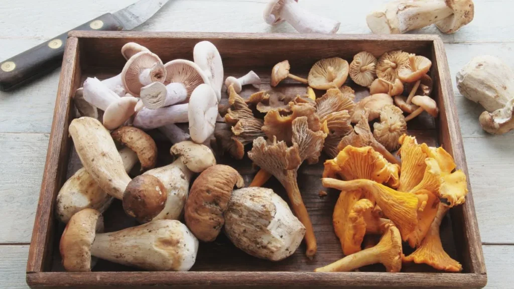 Mushrooms