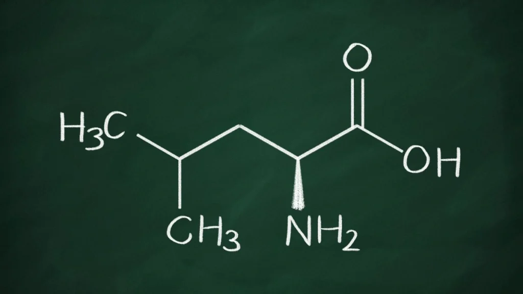 Leucine