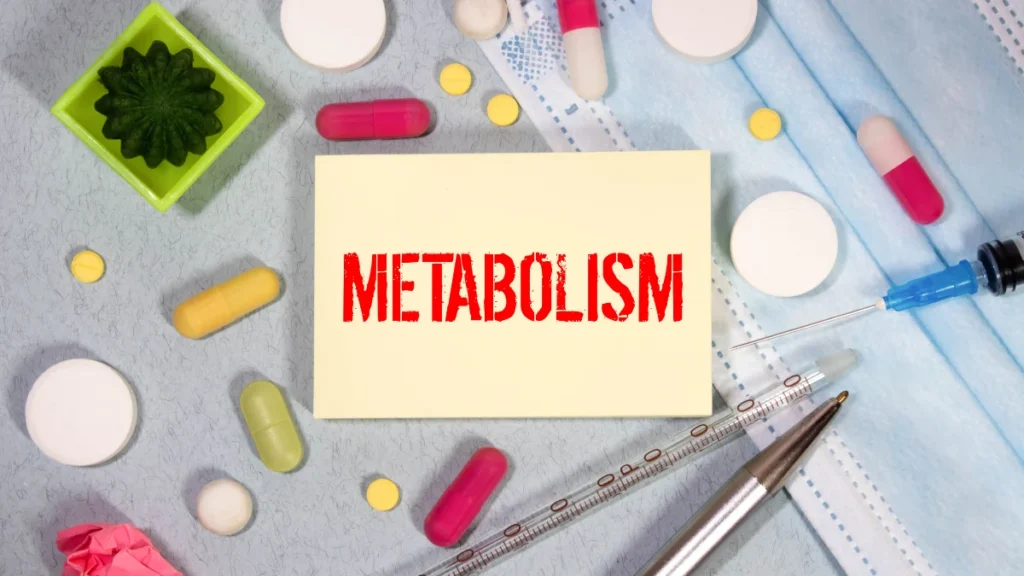 How to Stop Sarcopenia: The Silent Metabolism Killer