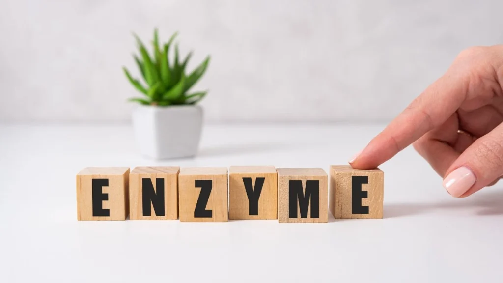 How Natural Fruit Enzymes Assist Your Digestive Process