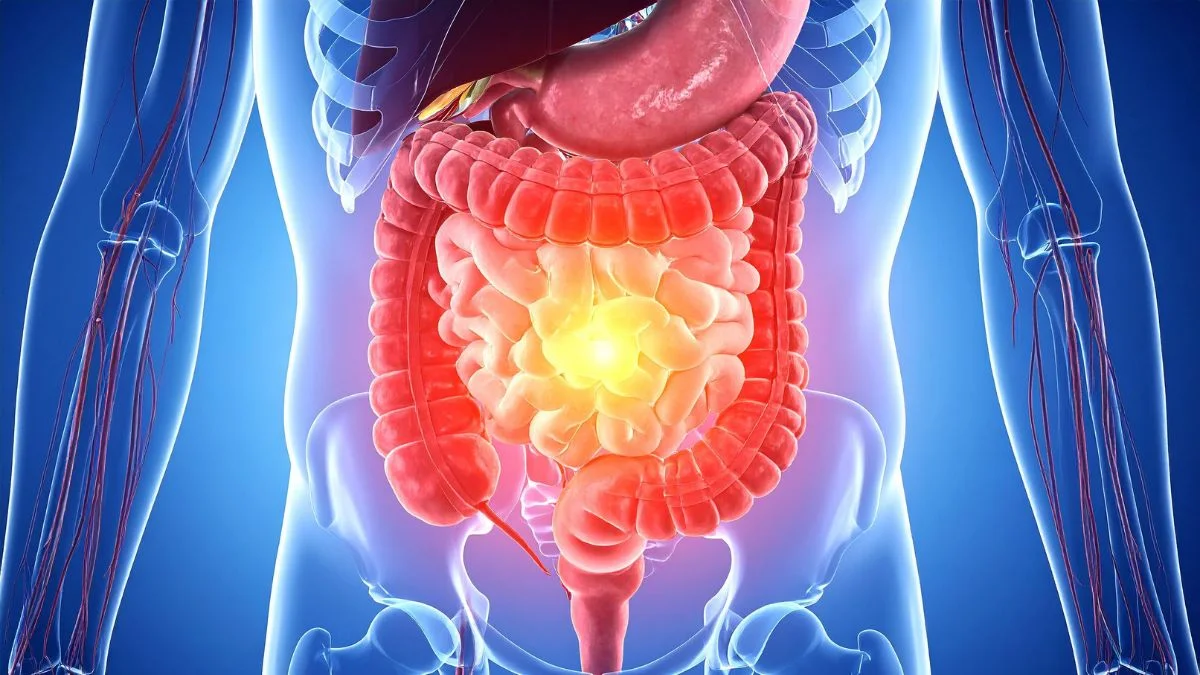 Your body stops digesting fruit the moment you eat it after a meal — here's what actually happens