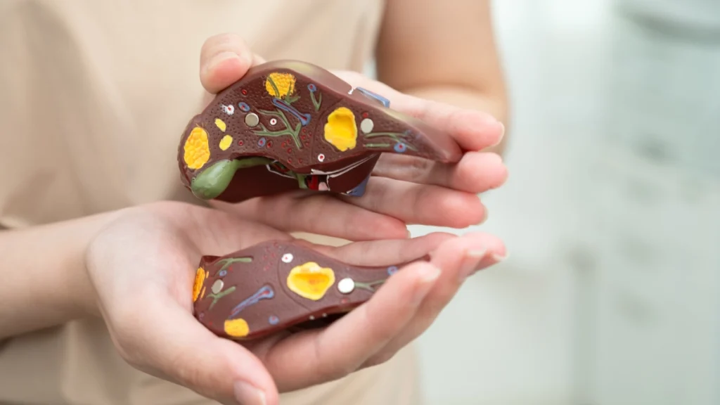 The 8 Year Silent Window: How Sugar Slowly Overwhelms Your Liver