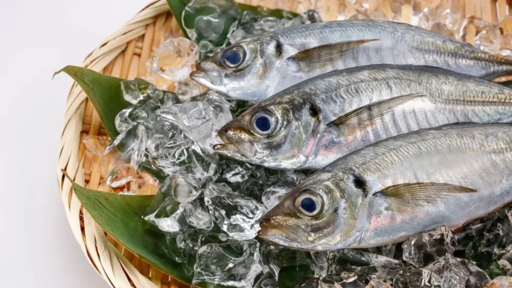 SMASH Fish