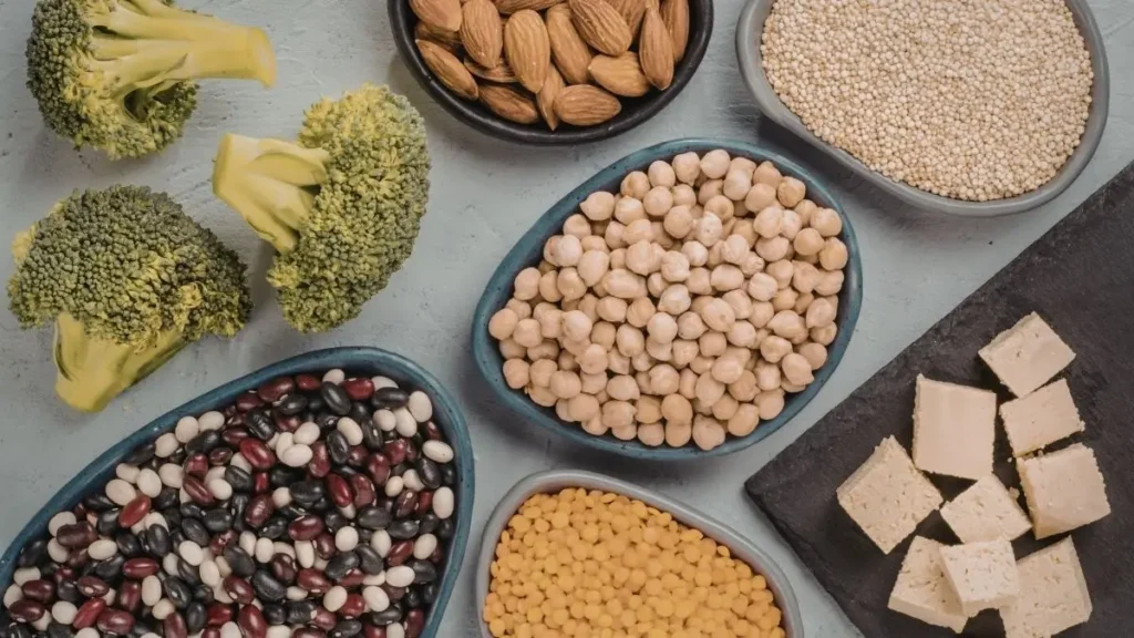 Fermented Plant Proteins