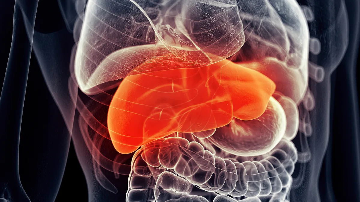 Your liver Starts Compensating For Sugar Damage 8 Years Before Any Test Detects It — Here's The One Number That Reveals It Early