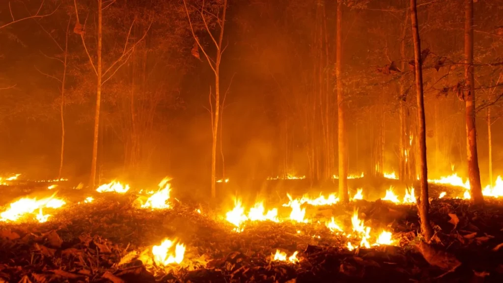 Fire Risks 
