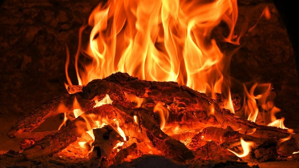 Firewood